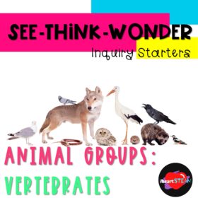 animals-see-think-wonder